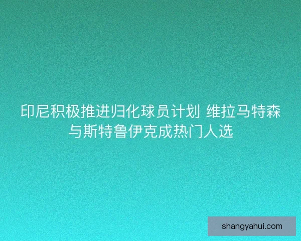印尼积极推进归化球员计划 维拉马特森与斯特鲁伊克成热门人选